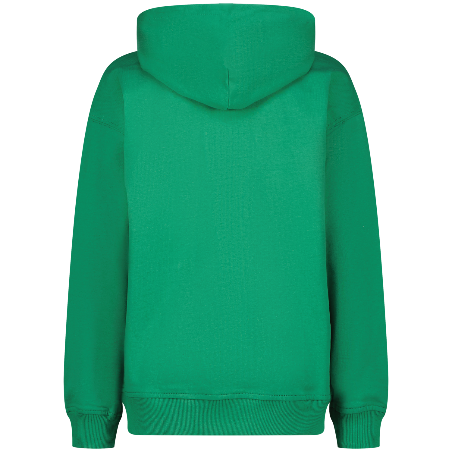 Vingino Basic-hoody Cactus green