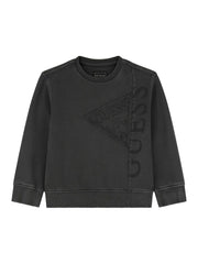 GUESS trui grijs