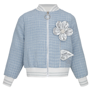 Daga blue Mirage bomber