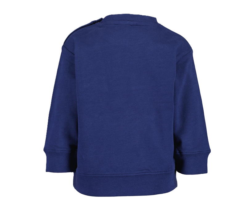 Blue Seven Dog print sweatshirt