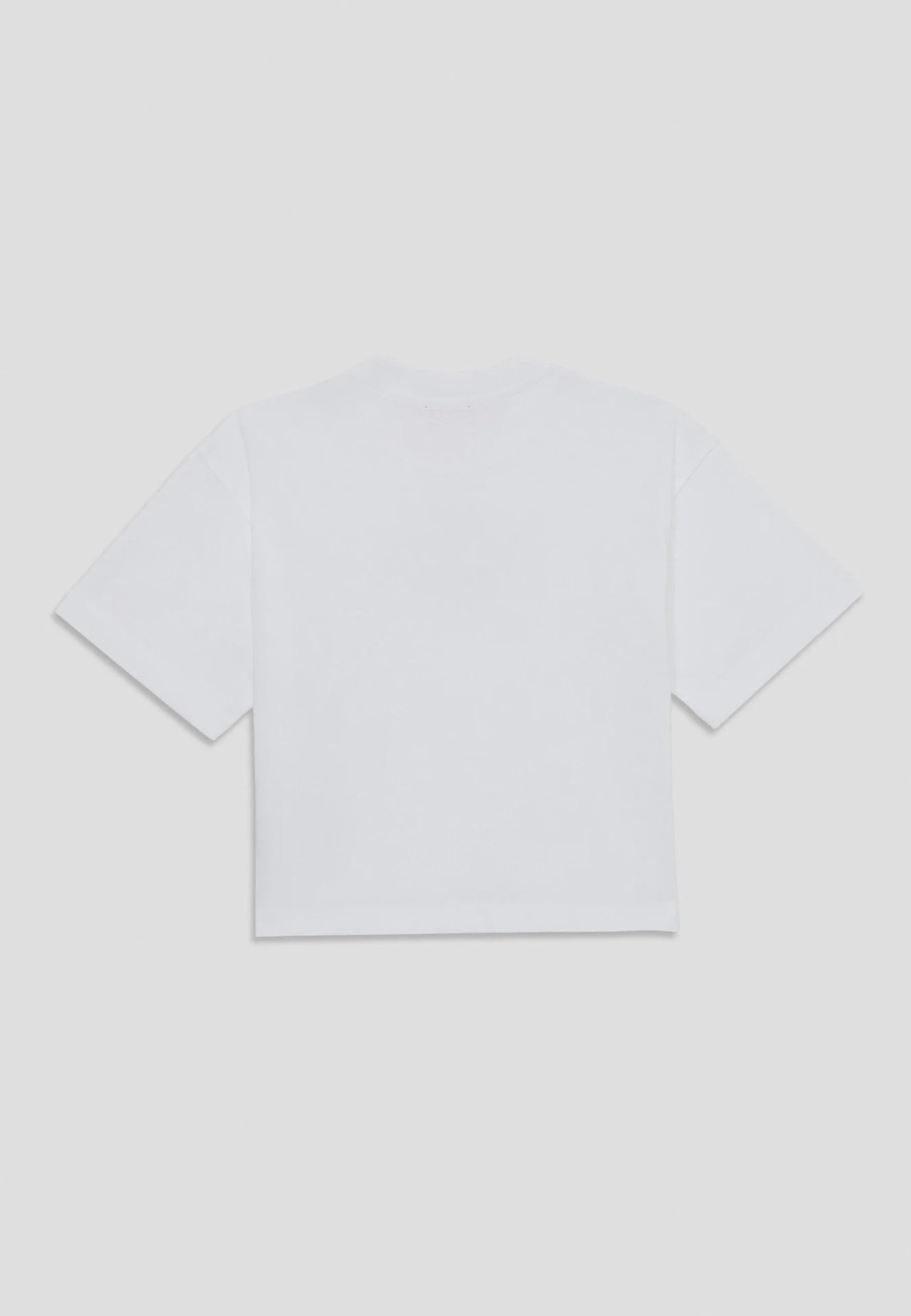 Diesel TIXAN  T-shirt print white
