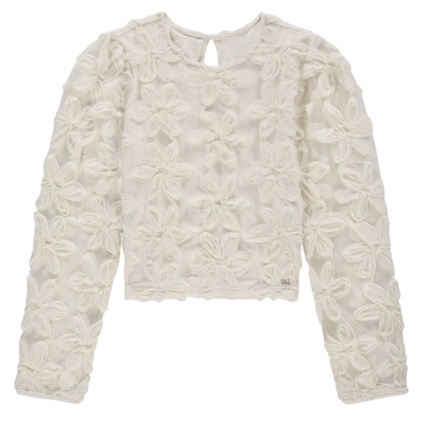 Nik & Nik Top with embroidered flowers and mesh balloon sleeves