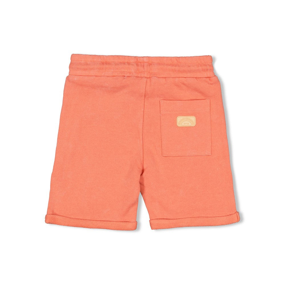 Sturdy Short - Desert Fiesta