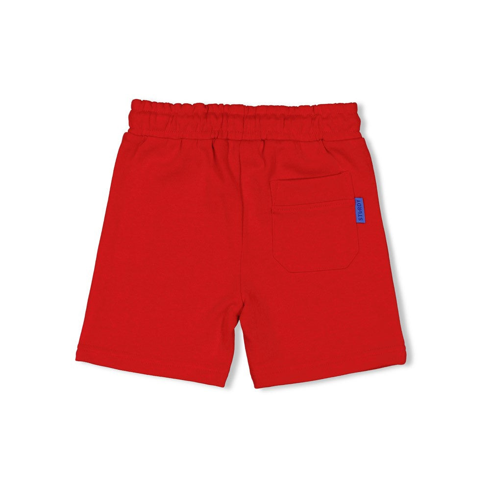 Sturdy Short - Run the Day rood