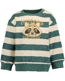 Peuter jongens sweater - GROEN
